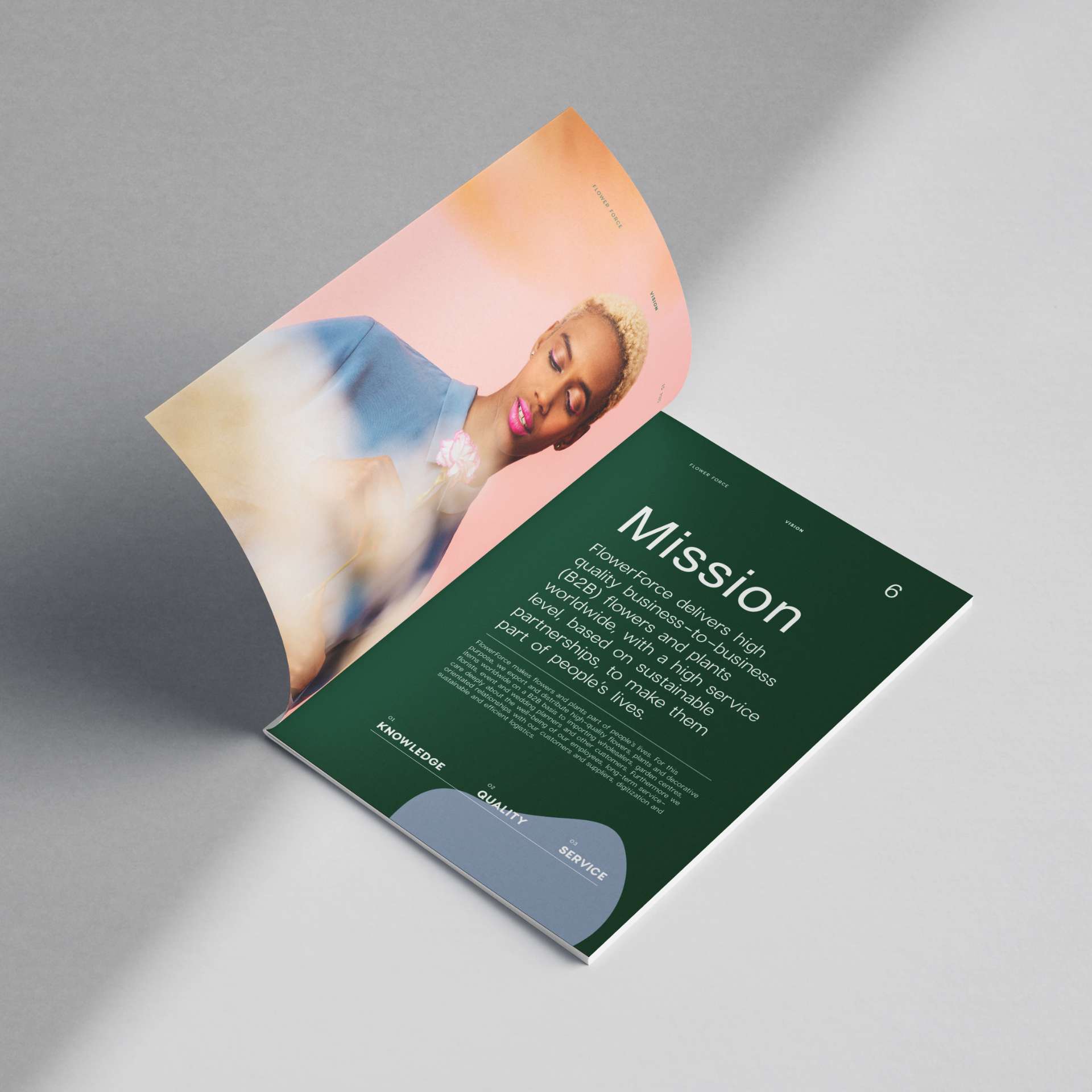 Brochure papier