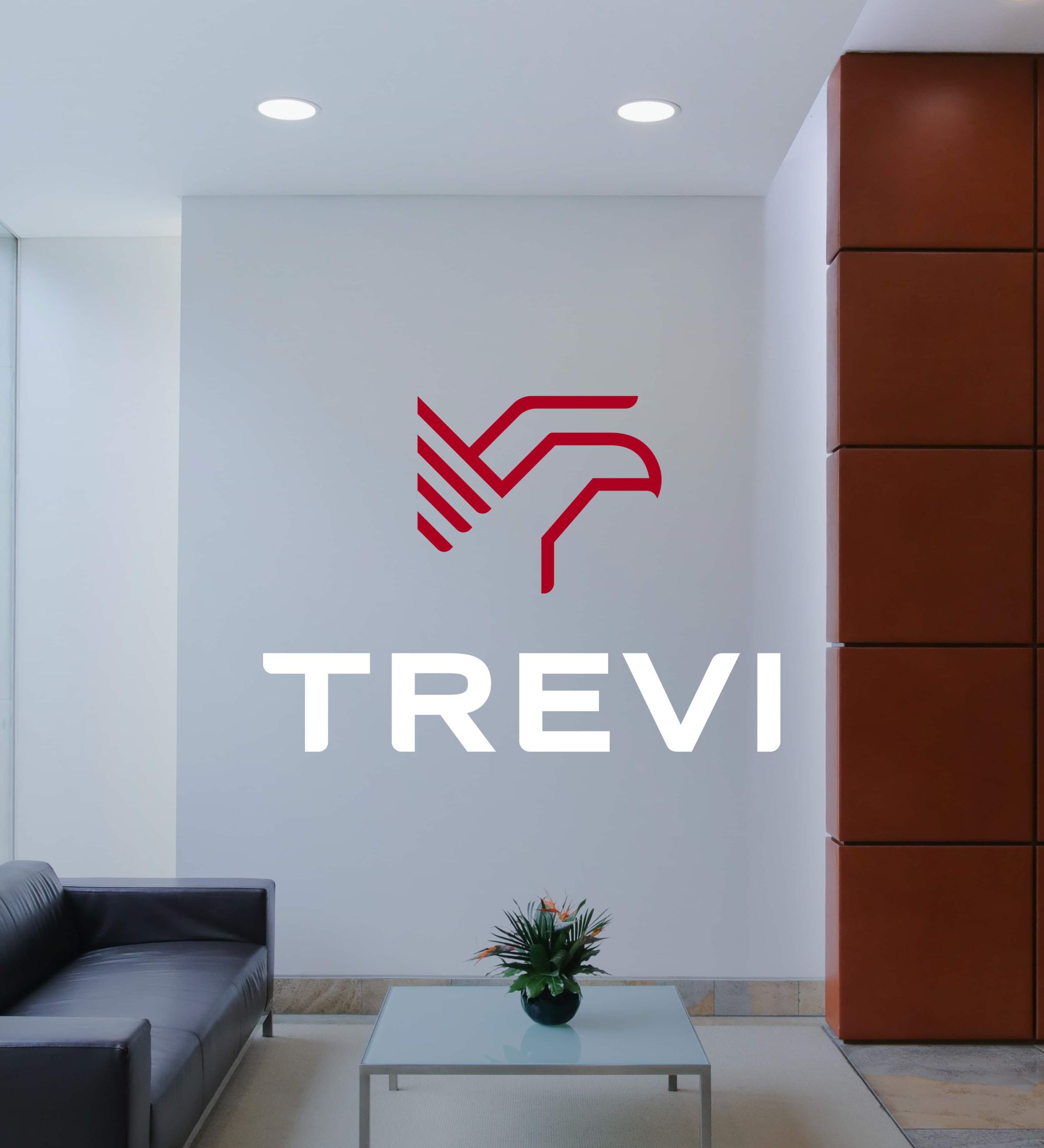 Trevi Group